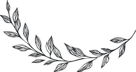 Fototapeta premium Stylized line art illustration of a flowing vine with leaves, perfect for floral design and decorative projects