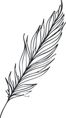 Elegant outline vector illustration of a botanical leaf, perfect for nature-themed designs and eco-friendly projects
