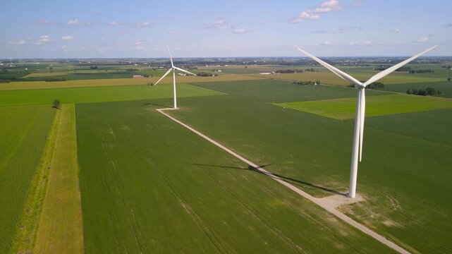 White tall windmills in the middle of soy bean fields in Michigan countryside.