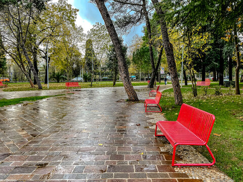 red bench wet park pathway glistening with puddles, autumn trees lining reflective stone path, empty vibrant seat contrasts damp