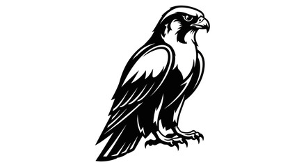 Majestic falcon illustration in striking black and white perched and alert ready to hunt.