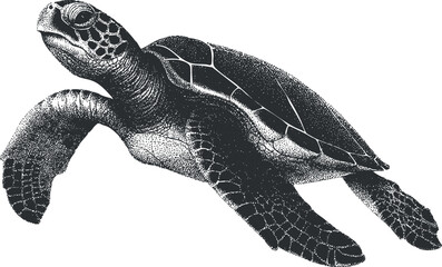 Naklejka premium Detailed black and white vector illustration of a sea turtle swimming, ideal for nature-themed designs and eco-friendly projects