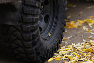 Heavy off-road tire, copy space. Tight closeup of a chunky off-road tire on a leaf-dotted surface.