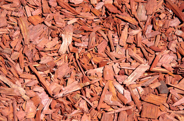Chipped red wood bark mulch a ground cover