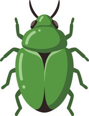 Fototapeta premium Green beetle insect vector illustration in simple flat style isolated on white background