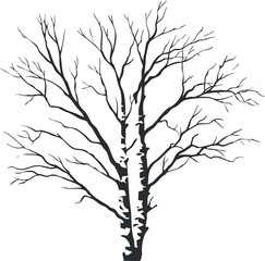 Obraz premium Silhouette vector illustration of a leafless tree with intricate branches, ideal for nature-themed design projects.