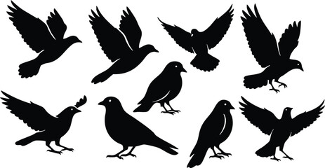 Obraz premium Black silhouette birds in various poses create a dynamic and artistic vector illustration 