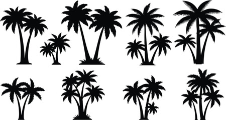 Fototapeta premium Collection of palm trees silhouettes in various shapes and sizes for tropical designs and illustrations 