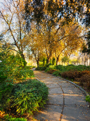 A path in a park with trees and bushes
