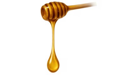 Honey dipper holding golden sticky liquid dripping a solitary drop, transparent background for sweet food design