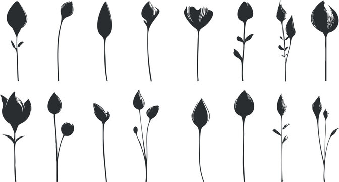 Minimalist black and white silhouette illustration of various stylized flower stems and buds.