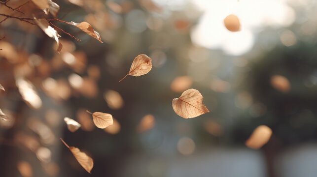 Close-up of a branch of a tree with dried leaves falling from it. the leaves are in various shades of brown and orange, indicating that it is autumn.