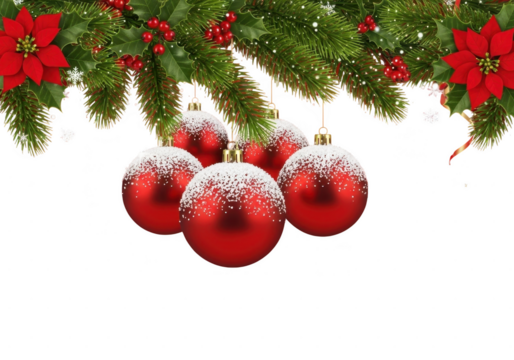 Five shiny red christmas baubles decorated with white snow hanging from green fir tree branch with red poinsettia flower isolated on transparent background