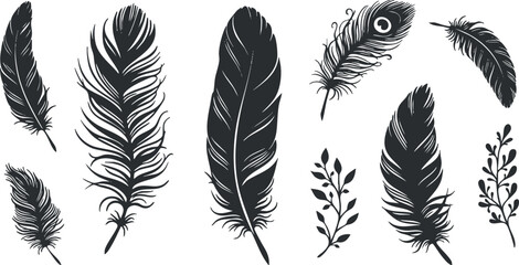 Obraz premium Elegant collection of black feather vector illustrations, featuring various styles and shapes for decorative design projects
