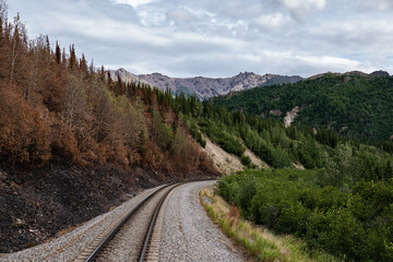 Obraz premium Wilflire on Railroad Alaska