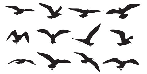 Silhouette of birds flying in different directions against a white background