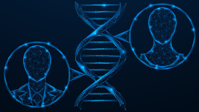 Digital genetic connection. A DNA spiral that combines two abstract human profiles. The concept of kinship and heredity analysis. Polygonal design, blue background.