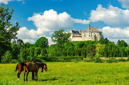 Olesko Castle standing prominently on a forested hill under a clear blue sky, overlooking a vibrant green meadow where two horses are grazing peacefully