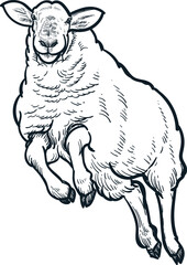 Vintage hand drawn sketch of jump smile sheep