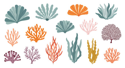 Assorted Seaweed and Coral Illustrations.