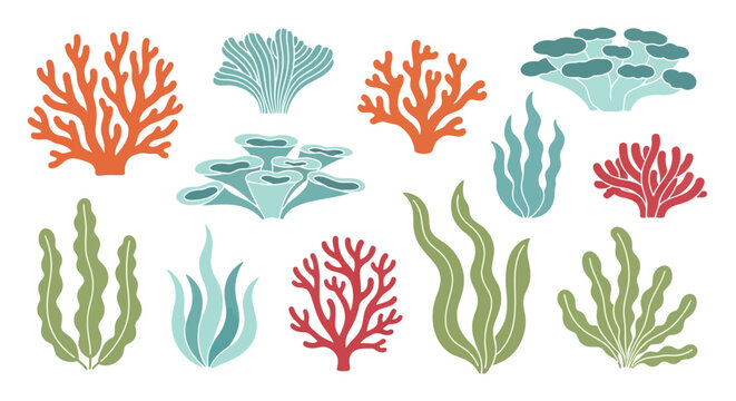 Colorful Coral and Seaweed Collection - Underwater Flora.