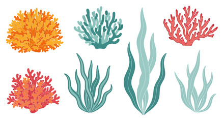 Colorful Coral Reef Plants and Seaweed Collection.