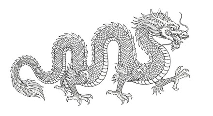 Detailed Line Art of a Traditional Chinese Dragon Illustration.
