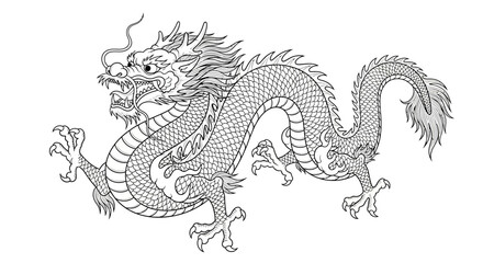 Detailed Line Art of a Traditional Chinese Dragon Illustration.