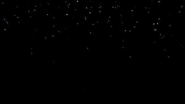 Confetti explodes from the bottom of the frame then double pops and falls glittering to the ground. Festive celebration concept. Video overlay with transparent alpha channel. 4k animation video