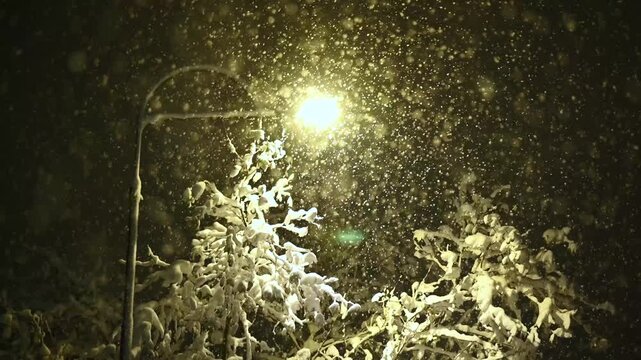Heavy snowfall at night, illuminated by a bright street light. Snowfall in winter. Snowflakes in the air.