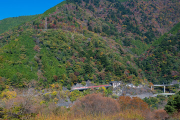 Autumn Mountain Scenery with Ikawa Line Train near Nagashima Dam, Shizuoka / Steep Slope Railway in Nature
