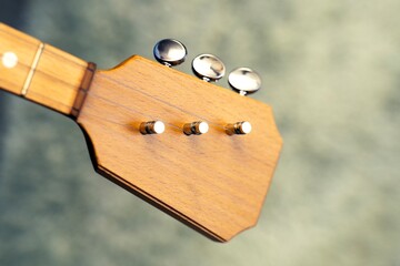 Wooden balalaika neck with three tuning pegs and attached metal strings