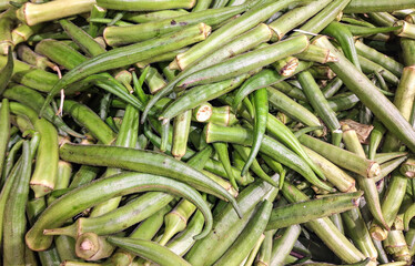 Fresh Green Okra Close-Up