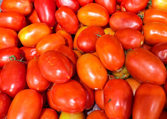 Fresh Red Roma Tomatoes Close-Up