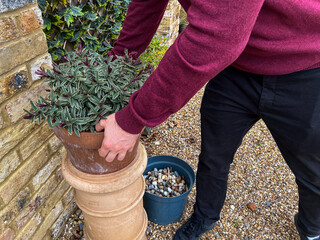Hands Placing Plant Pot on Stand