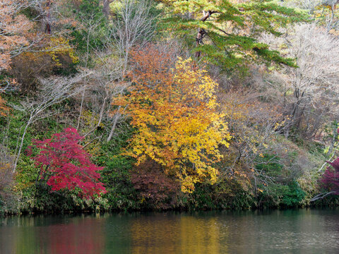 貯水池」の写真素材 | 720,925件の無料イラスト画像 | Adobe Stock