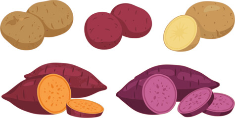 vector set of Baked potato, sweet potato illustration Shizuru, real, photo, autumn
