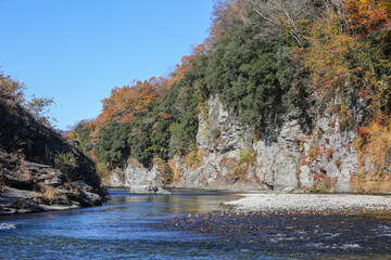 田舎の渓谷の紅葉