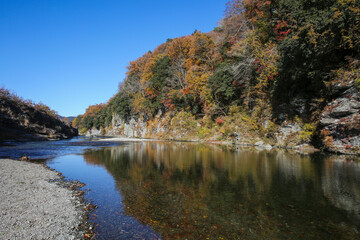 山奥の河原と紅葉