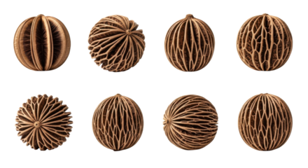 Dried decorative seed pods with intricate patterns and textures, arranged in two rows. natural brown color and unique designs make them ideal for home decor or craft projects