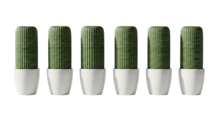 Five green cacti in white pots are arranged in row, showcasing minimalist and modern design. vertical lines on cacti add texture, creating visually appealing pattern