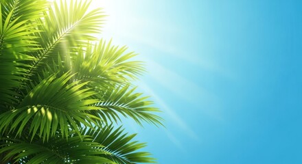 Palm Fronds and the Azure Sky: A Tropical Dream Vacation Background
