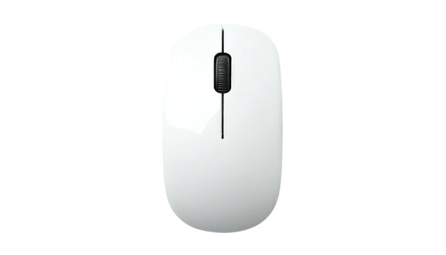 White computer mouse with a black scroll wheel