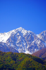 秋の白馬村から眺めた三段紅葉