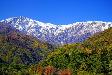 秋の白馬村から眺めた三段紅葉