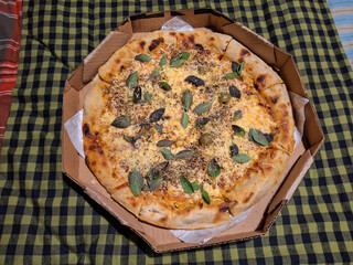 Fresh cheese Pizza with basil