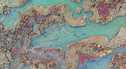 Top down aerial view of a wetland area with intricate shapes of pink land and blue water creating a complex natural jigsaw puzzle texture from a drone