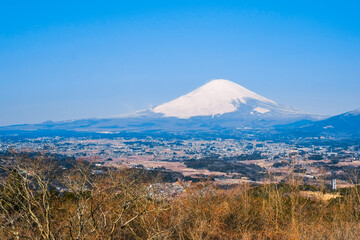 Fototapeta premium 富士山 足柄峠