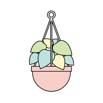 Hanging Plant in Pot Cartoon Illustration