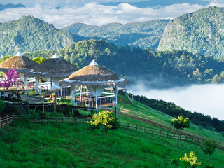 Beautiful landscape view of hydrangea fields, a bright morning of flowers at Doi Chang, Chiang Rai, Thailand